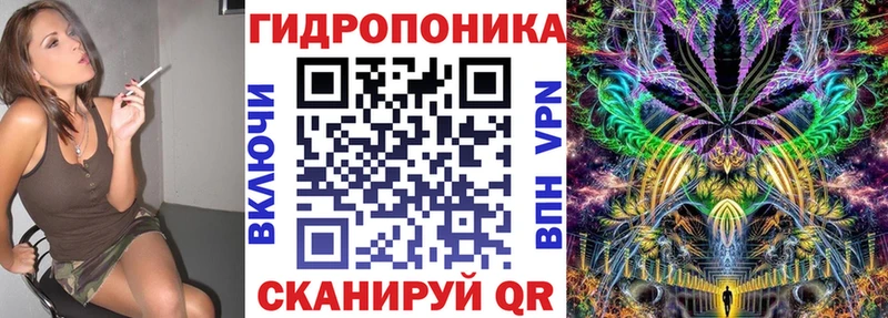 площадка наркотические препараты  Малгобек  Конопля конопля 